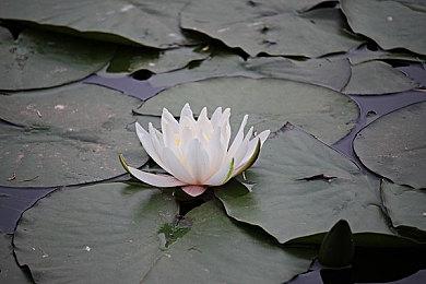 《超次元游戏海王星姐妹vs姐妹》中文版10月27日发售